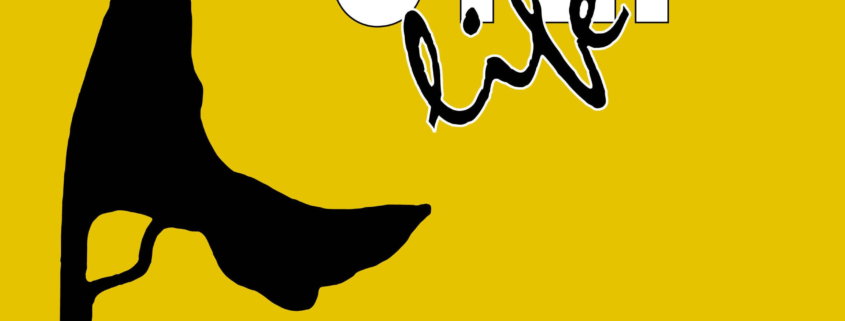 Sylt-Life - das goldene Magazin